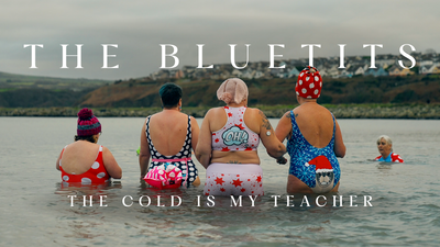 The Bluetits
